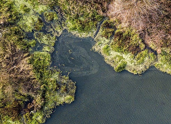 biogis_news Natura z lotu ptaka